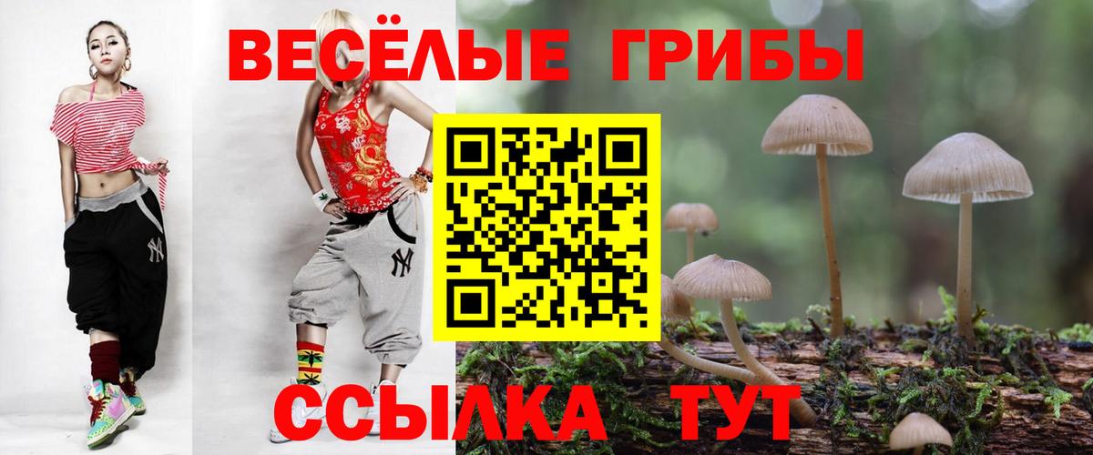 Псилоцибиновые грибы GOLDEN TEACHER Электросталь